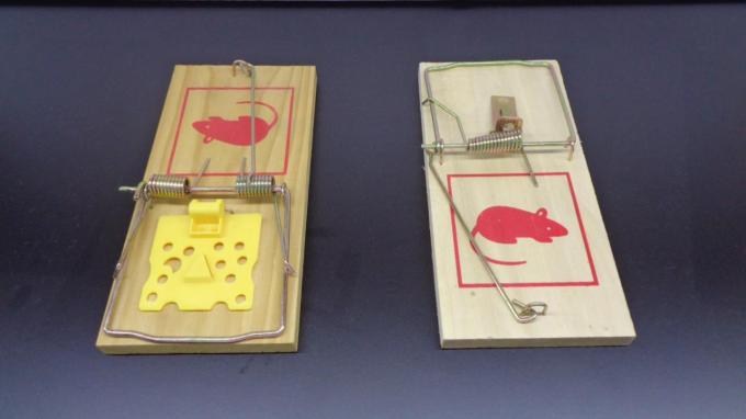 Flying Trap Insect Glue Paper Garden Hanging with en monsters aangeboden 15