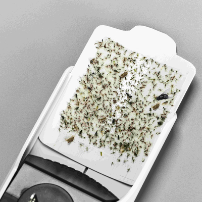 Goede prijs. 20-30m2 dekking Plug-in muggenlamp met kleverige lijmpad Natuurlijk en milieuvriendelijk voordeel online