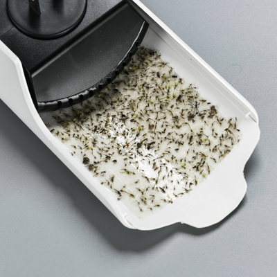 Goede prijs. Effectieve pestbestrijding motten muggenlamp met lijmpad en elektrische energiebron combo online